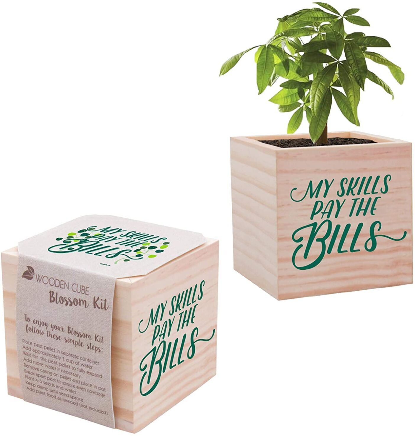 Appreciation Plant Cube - My Skills Pay The Bills